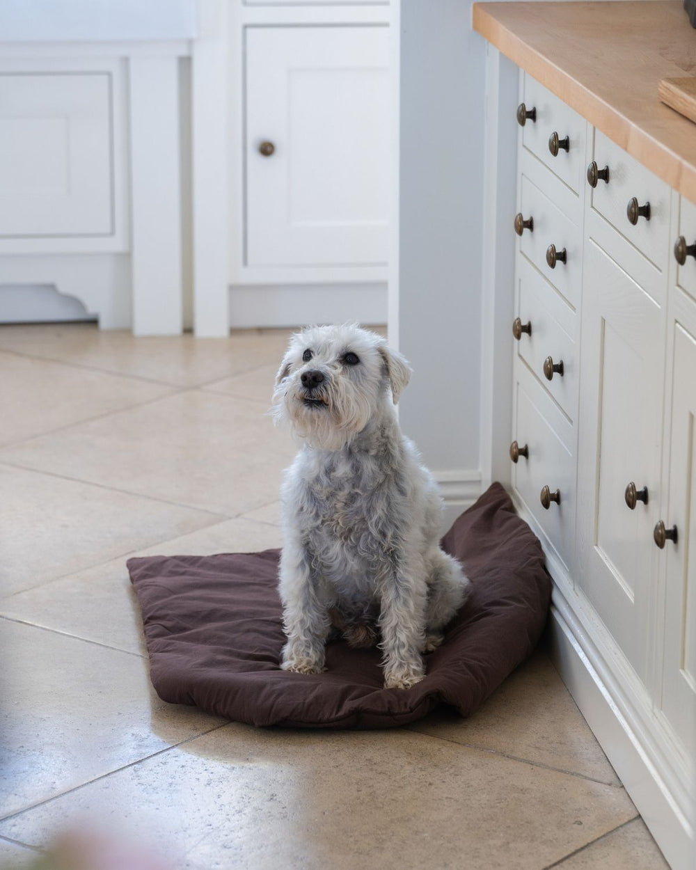 Folkness hundtäcke | Choco brown