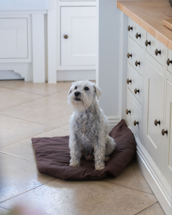 Folkness hundtäcke | Choco brown