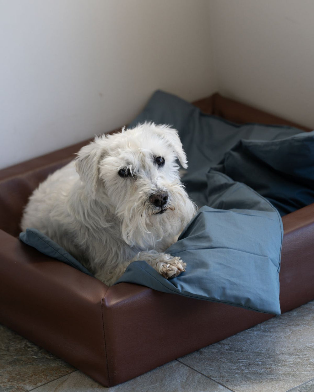 Folkness hundtäcke | Stormy blue